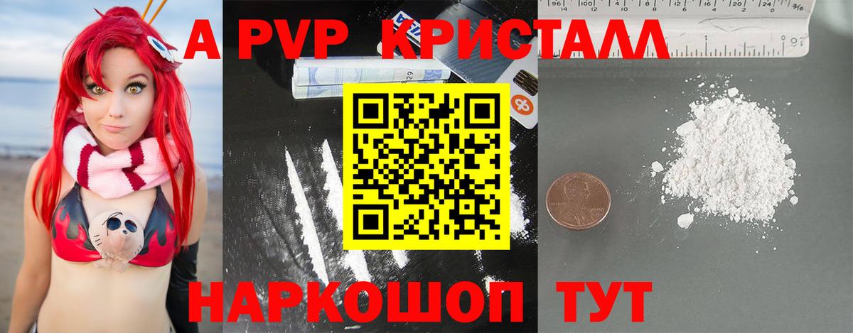 Alfa_PVP СК Санкт-Петербург