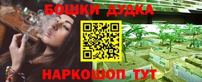 наркотики Сланцы