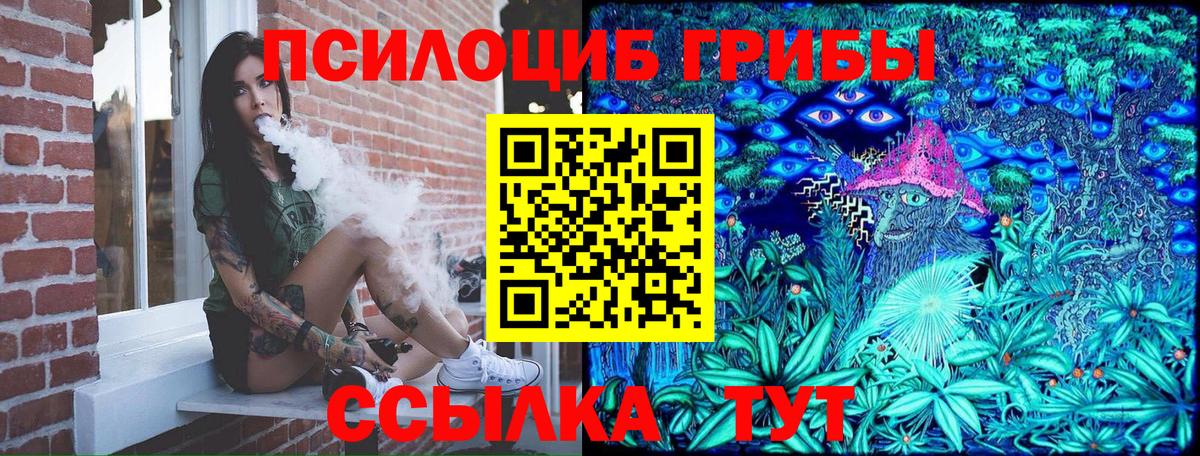 Псилоцибиновые грибы прущие грибы  Псилоцибиновые грибы ЛСД  Санкт-Петербург  Вход с VPN 